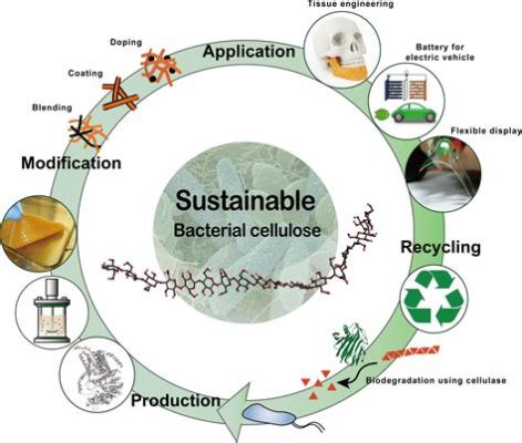  Nanocellüloz Nedir ve Nasıl Kullanılır? Sürdürülebilir Üretim Teknolojileriyle Geleceğin Malzemesi!